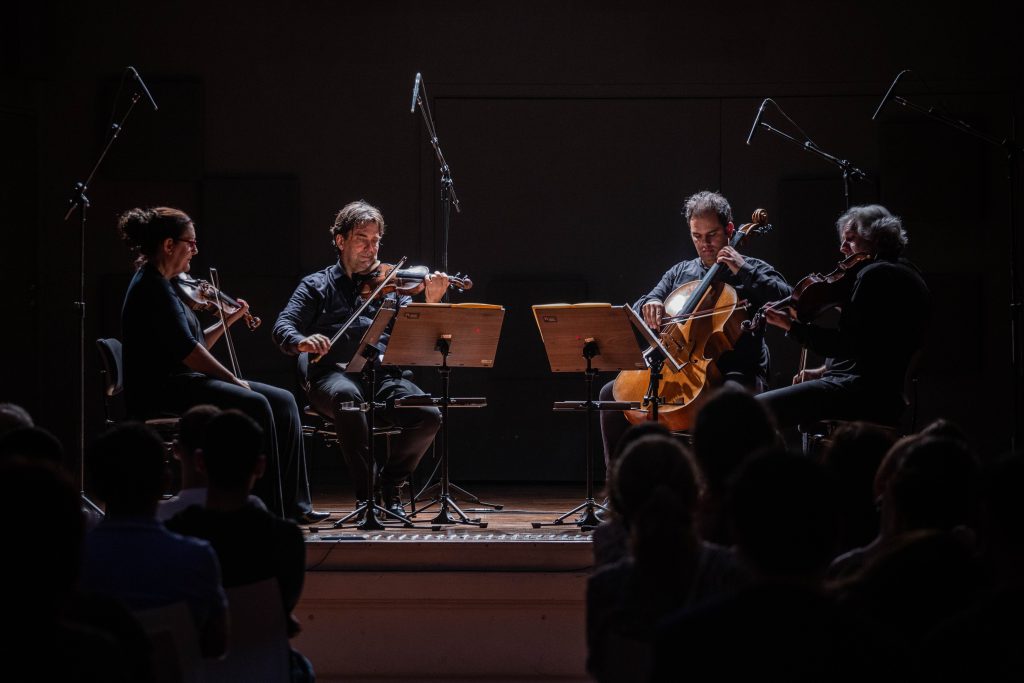 capa opção 2 ef9a2338.larissa paz